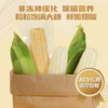 口感甜糯Q弹有嚼劲🌽【小谷队大穗甜糯白玉米】健康主食新选择🏆一根有“身份”的获奖玉米✅ 非转基因+品质全程把控，真正吃得放心的安心粗粮！ 商品缩略图6