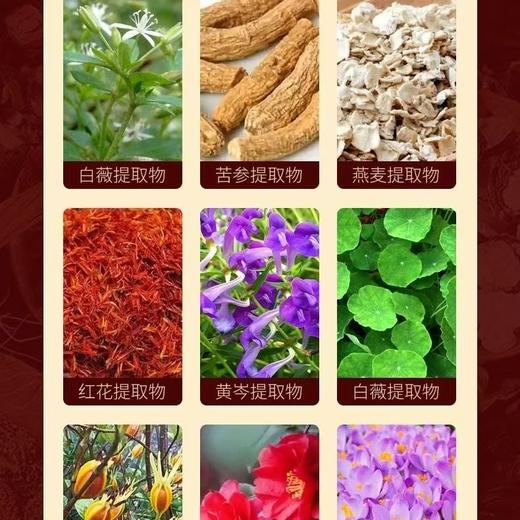 藏红花精油 草本植物精华背部酸麻肩颈酸痛腰腿舒筋活骨发热精油艾灸 商品图1