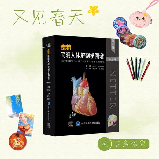 【又见春天】奈特简明人体解剖学图谱（第5版）（手册版）张卫光 陈春花 主译  北医社 商品图0