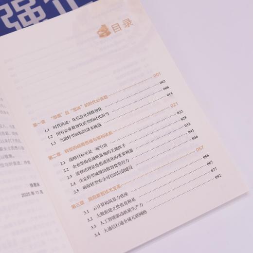 数智强企：国有企业数智化转型指南 破解转型关键难题 从技术落地到工具赋能全流程政策案例参考企业管理工具书籍 商品图2