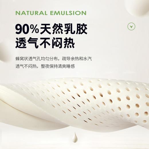 泰国乳胶B型枕-2 商品图2