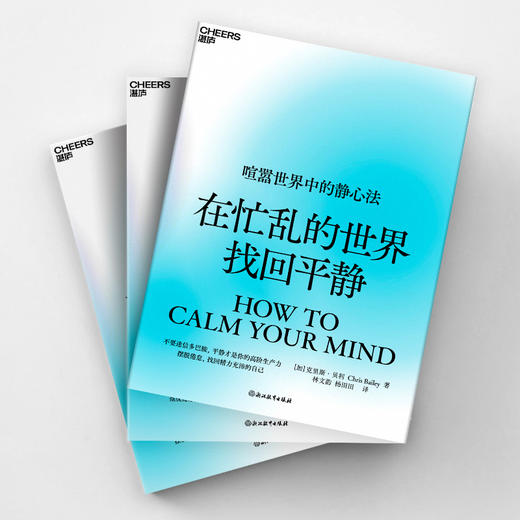 在忙乱的世界找回平静  摆脱倦怠，找回精力充沛的自己 商品图4