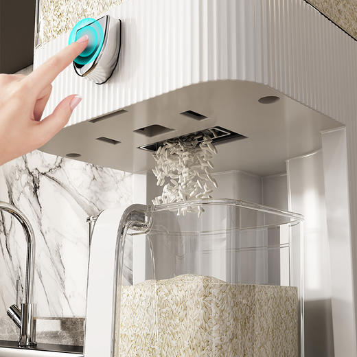 【食品级材质!按压米桶】食品级按压米桶  防虫防潮密封家用厨房米缸 杂粮收纳容器大塑料米箱 商品图0