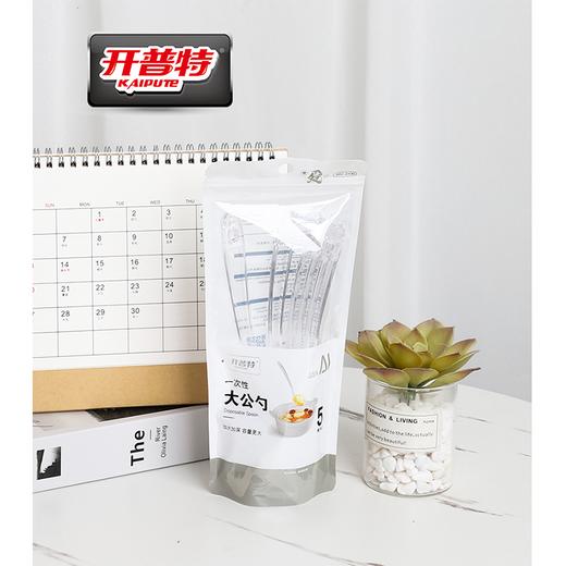 开普特5只19cm一次性大公勺WH-4109 商品图0