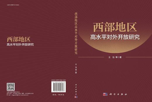 西部地区高水平对外开放研究 商品图3