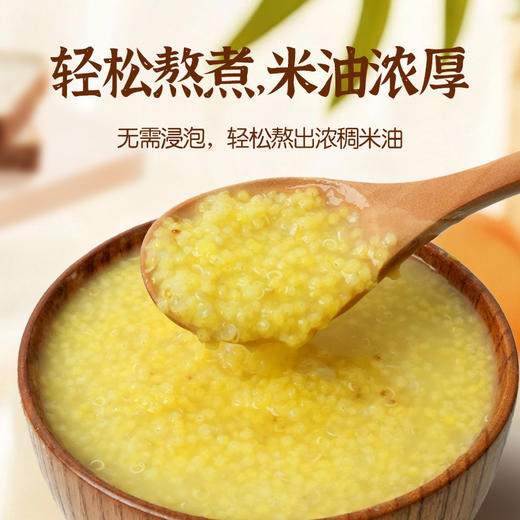【北大荒】黑土金谷  藜麦小米粥米 1.5kg 商品图3