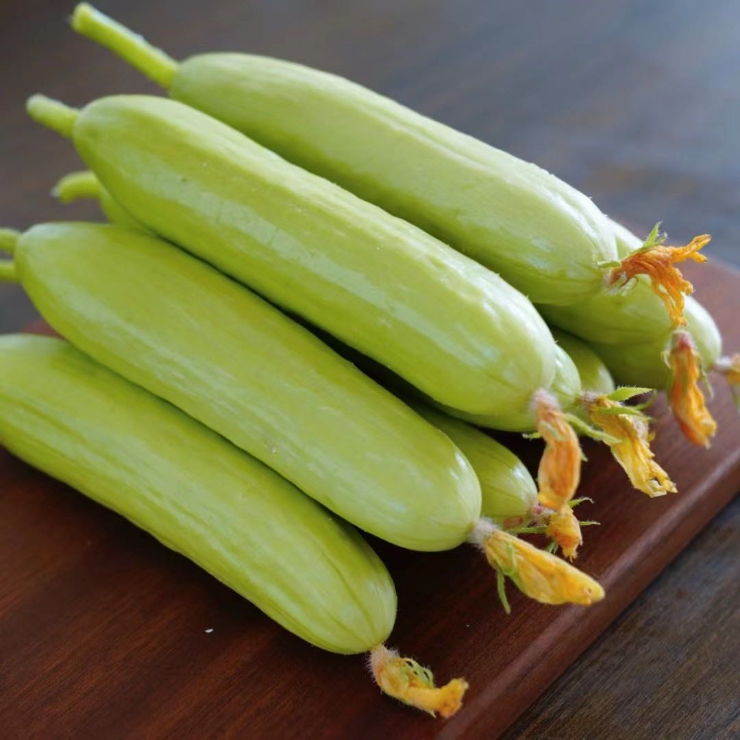 【不涩口 脆甜无渣】贝雅奶油黄瓜 无刺水果黄瓜