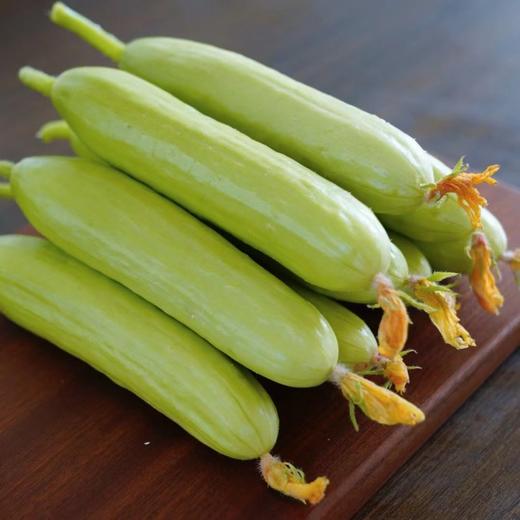 【不涩口 脆甜无渣】贝雅奶油黄瓜 无刺水果黄瓜 商品图0