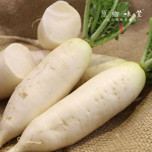 生态萝卜/白萝卜/长萝卜（农场直发-顺丰包邮）| 长萝卜5斤/箱，成都郫都区基地【原乡农场，自产自销】 商品图4