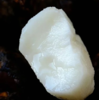 春日必不可少的脆甜多汁水果：广西荔浦马蹄手提礼盒，5斤送削皮刀，皮薄肉嫩，水分充足，清甜无渣，爽脆可口（生鲜发出不拦截，不退回） 商品缩略图2