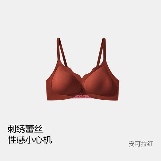 出口原单雷丝重工刺绣美背内衣 商品图10