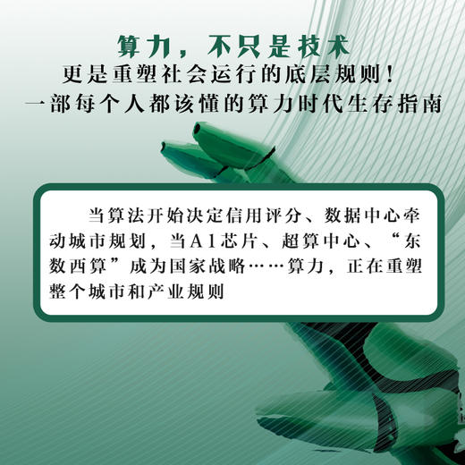 算力生态：中国高质量发展新引擎 商品图1