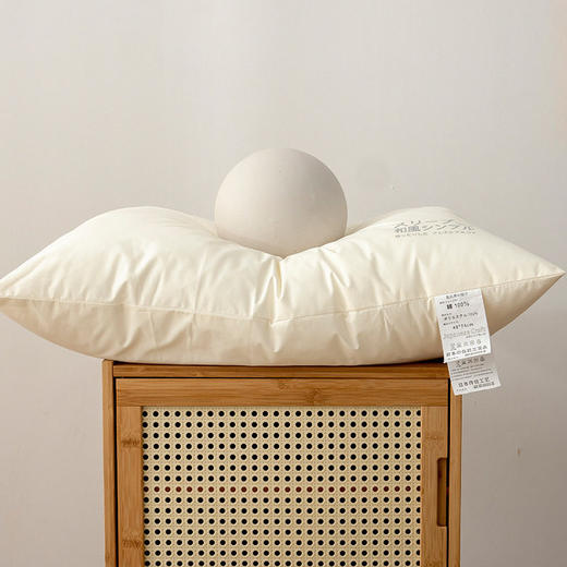 日系简约全棉40支枕芯无印成人纯色烫画柔软枕头良品纯色A类原棉 商品图1