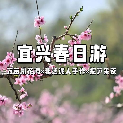 【亲子营】宜兴2日 | 万亩桃花海×非遗泥人手作×挖笋采茶，玩透江南春天！ 商品图0