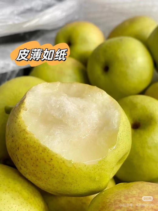 脆甜香梨梨享生活5斤礼盒 商品图8