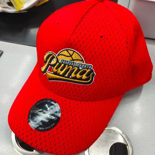 69.9元 彪马帽子 644627-HD（线上线下同步在售不保证有货，介意勿拍） 商品图0