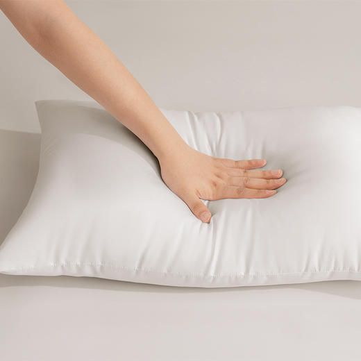 水星家纺丨DH思梦抗菌对枕 商品图3