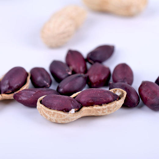 野风酥山东特产黑花生礼盒装900g 正宗黑皮带壳原味五香新货 商品图3