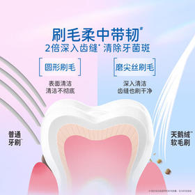 佳洁士小宽头超细软毛天鹅绒护龈牙刷樱花粉*2静谧蓝*2新旧包装颜色随机 /个人护理 /口腔护理 /牙刷