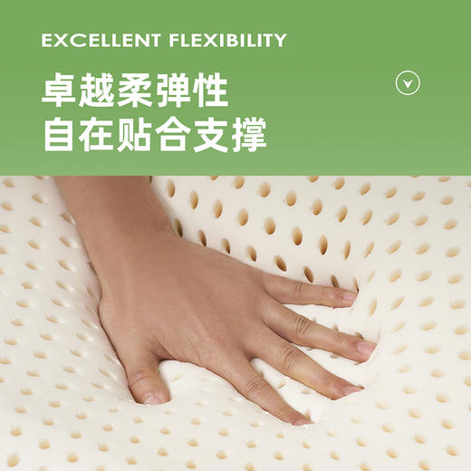 泰国乳胶B型枕-2 商品图3