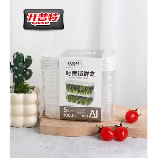 开普特5套1000ml时蔬锁鲜盒WH-4891 商品图0