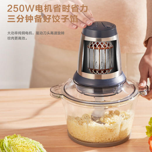 Midea/美的LZ25Easy225绞肉机家用电动婴儿辅食机料理机多用途 商品图2