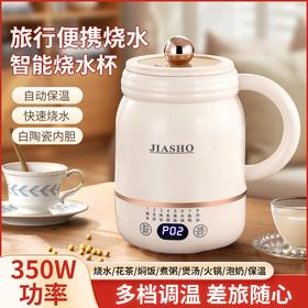 多功能全自动电炖杯办公室小型烧水杯炖煮便携式烧水壶迷你养生壶