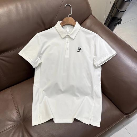 F030630轻薄速干透气微弹男款短袖POLO衫吸湿T恤 商品图1