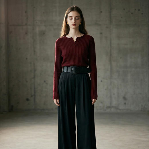 PALUOPO/PL小V领女衫ET255055R/约重230g帕罗 商品图5