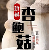 【YC】新鲜杏鲍菇 商品缩略图1