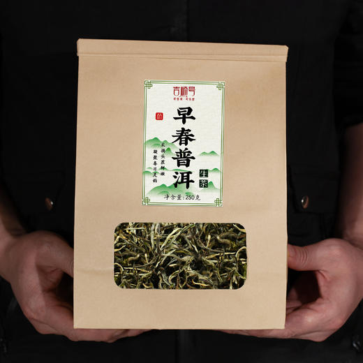 2026年头波早春普洱生茶现货尝鲜特惠价250克/盒 商品图6