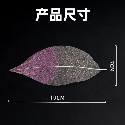 亚马逊蝉翼叶每包50片 商品图2