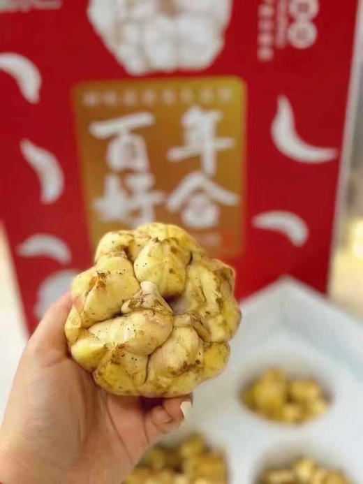 宜兴百合，甜糯～片大饱满、白净，肉厚，很糯，细细品味则苦中带甜，令人回味 😋营养丰富！💯养生佳品，吃出健康👍🏻 商品图11