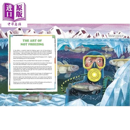 【中商原版】野外科学家 南极洲 Scientists in The Wild Antarctic 英文原版 儿童科普绘本 科学读物 自然百科知识图书 进口 商品图3