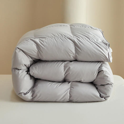 日式无印简约羽绒被纯色良品白鸭绒被芯90白鸭绒秋冬保暖被子被芯 商品图3