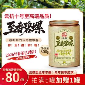 【近些年来樶强的一批】2026年顶亟茶！春茶的超鲜爽滋味！您绝未体验过得【至香碧螺】云抗十号最高端樶经典的碧螺春！云南碧螺春的巅峰作品！只限内部分享 300g/罐！