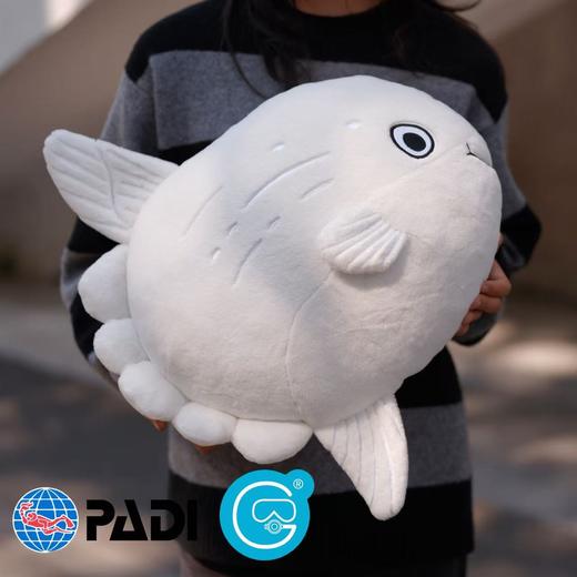PADI Gear - PADI ✖ intotheblue 毛绒玩偶 商品图9