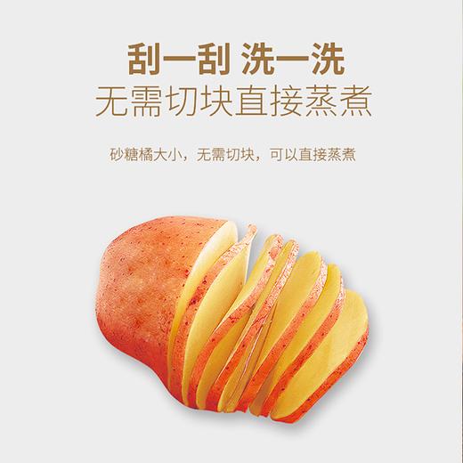 【云南高原红皮黄心土豆】色泽红润黄心细腻 炒菜百搭软糯入味 商品图2