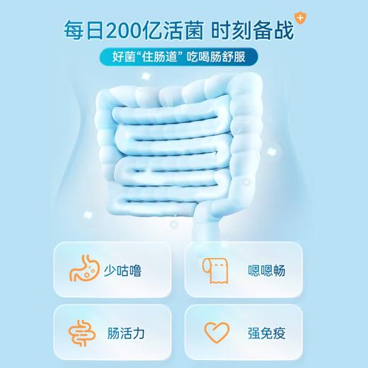 【德国Purmeo帕米奥】养胃益肠优惠组合装/养胃益生菌胶囊30粒/盒+肠道益生菌胶囊 60粒/瓶 商品图5
