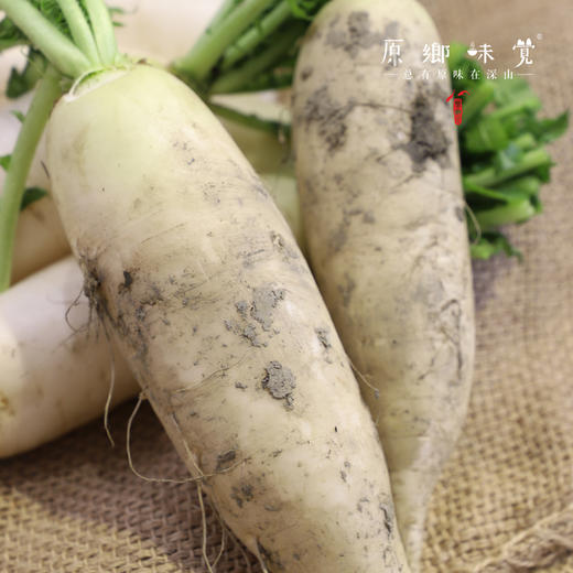 生态萝卜/白萝卜/长萝卜（农场直发-顺丰包邮）| 长萝卜5斤/箱，成都郫都区基地【原乡农场，自产自销】 商品图3