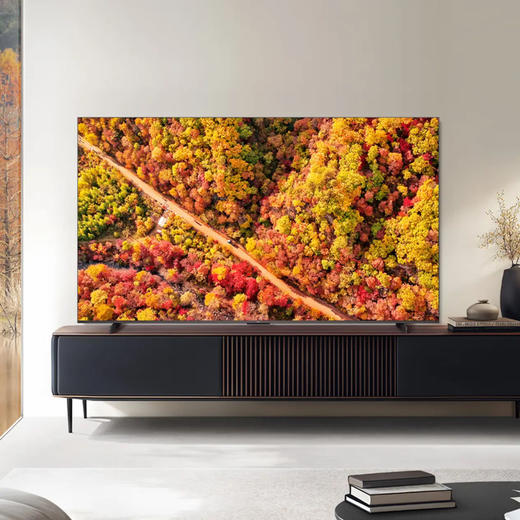 TCL电视 98Q6G Mini 商品图2