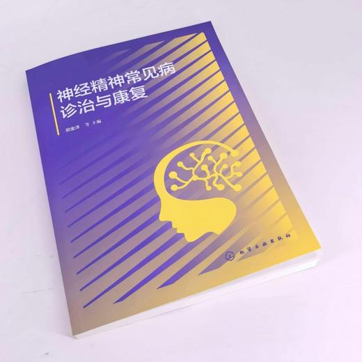 神经精神常见病诊治与康复 商品图1