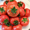 高糖吉藤番茄二代 商品缩略图3