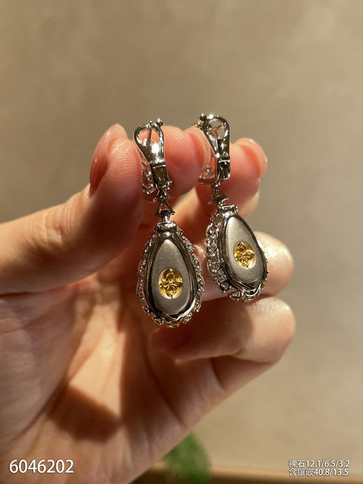 6046202，水滴耳坠。具体价格微信咨询 商品图7