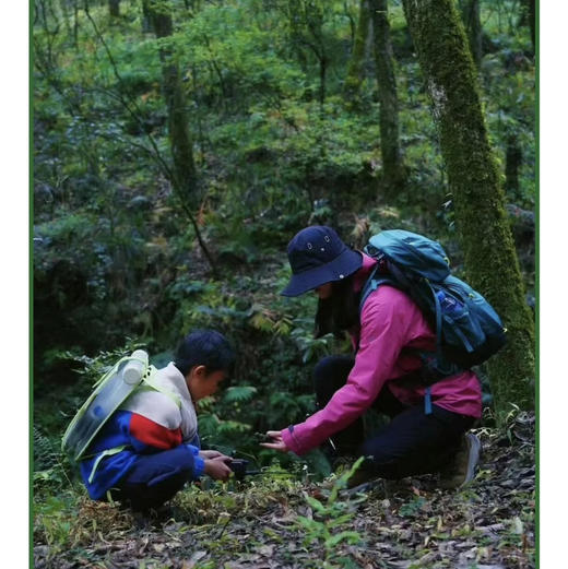 亲子徒步博物探索营次卡 | 每周一山，从春走到冬，与孩子做山野的朋友，解锁博物成长年卡！！ 商品图8