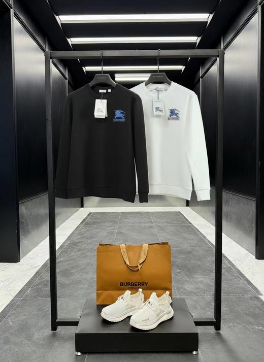 F0306126早春植绒刺绣工艺水柔棉工艺情侣款圆领套头卫衣 商品图0