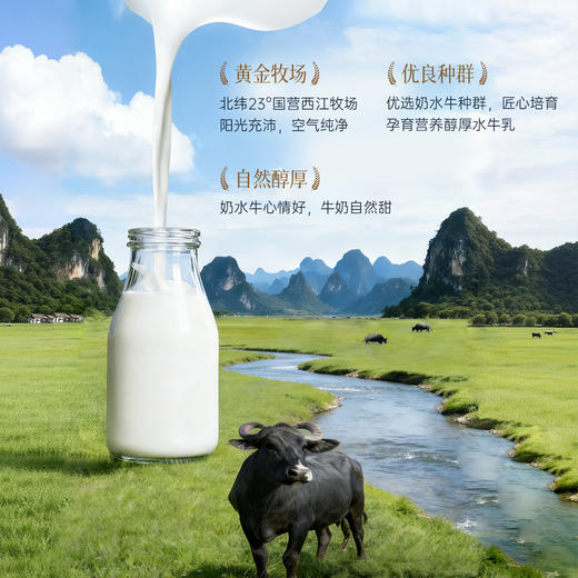 【广西农垦】西江乳业丨燕窝阿胶水牛奶 200g*6瓶 商品图5