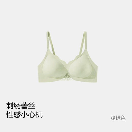 出口原单雷丝重工刺绣美背内衣 商品图13
