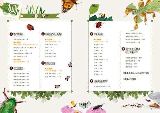 《我的昆虫学入门书》无穷小亮的昆虫探索 礼盒 无穷小亮讲昆虫 博物君张辰亮著 赠贴纸+海报 商品图4