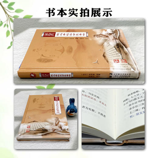 镜心斋校注金匮要略 东汉 张仲景 原著 吴雄志 校注 中医经典 医学书籍 五脏风寒积聚病脉证并治 9787559139092辽宁科学技术出版社 商品图2